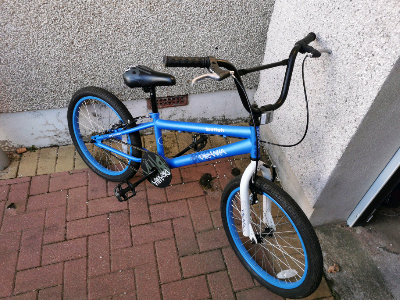 Kids Big Fish Piranha Bmx Bike | in